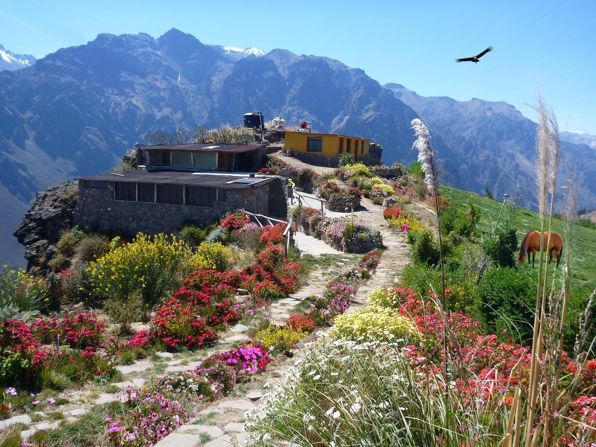 La Granja Del Colca Villa Cabanaconde Luaran gambar