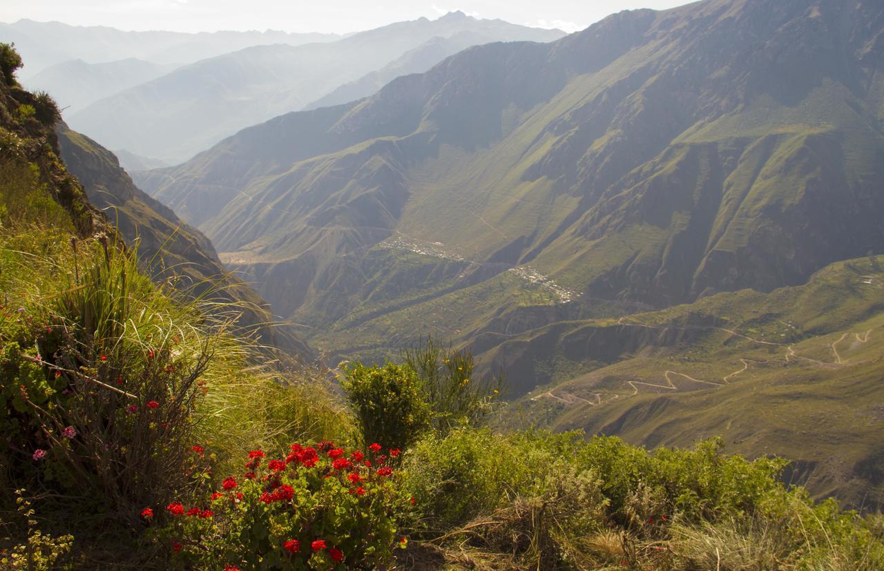 La Granja Del Colca Villa Cabanaconde Luaran gambar