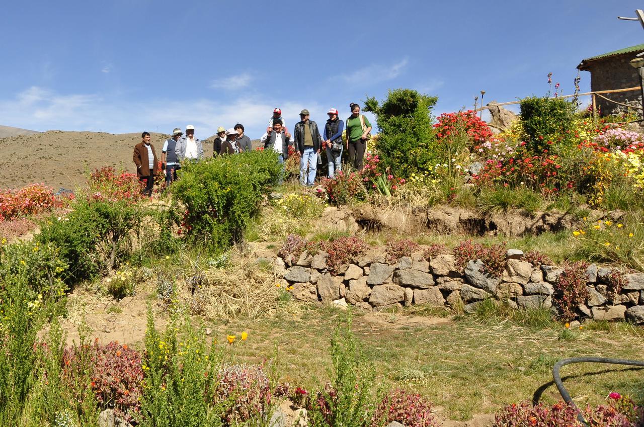 La Granja Del Colca Villa Cabanaconde Luaran gambar