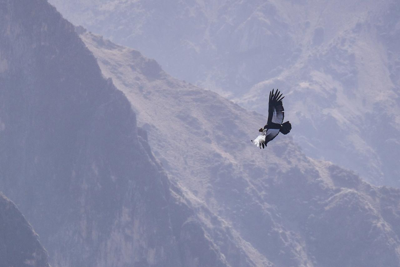 La Granja Del Colca Villa Cabanaconde Luaran gambar
