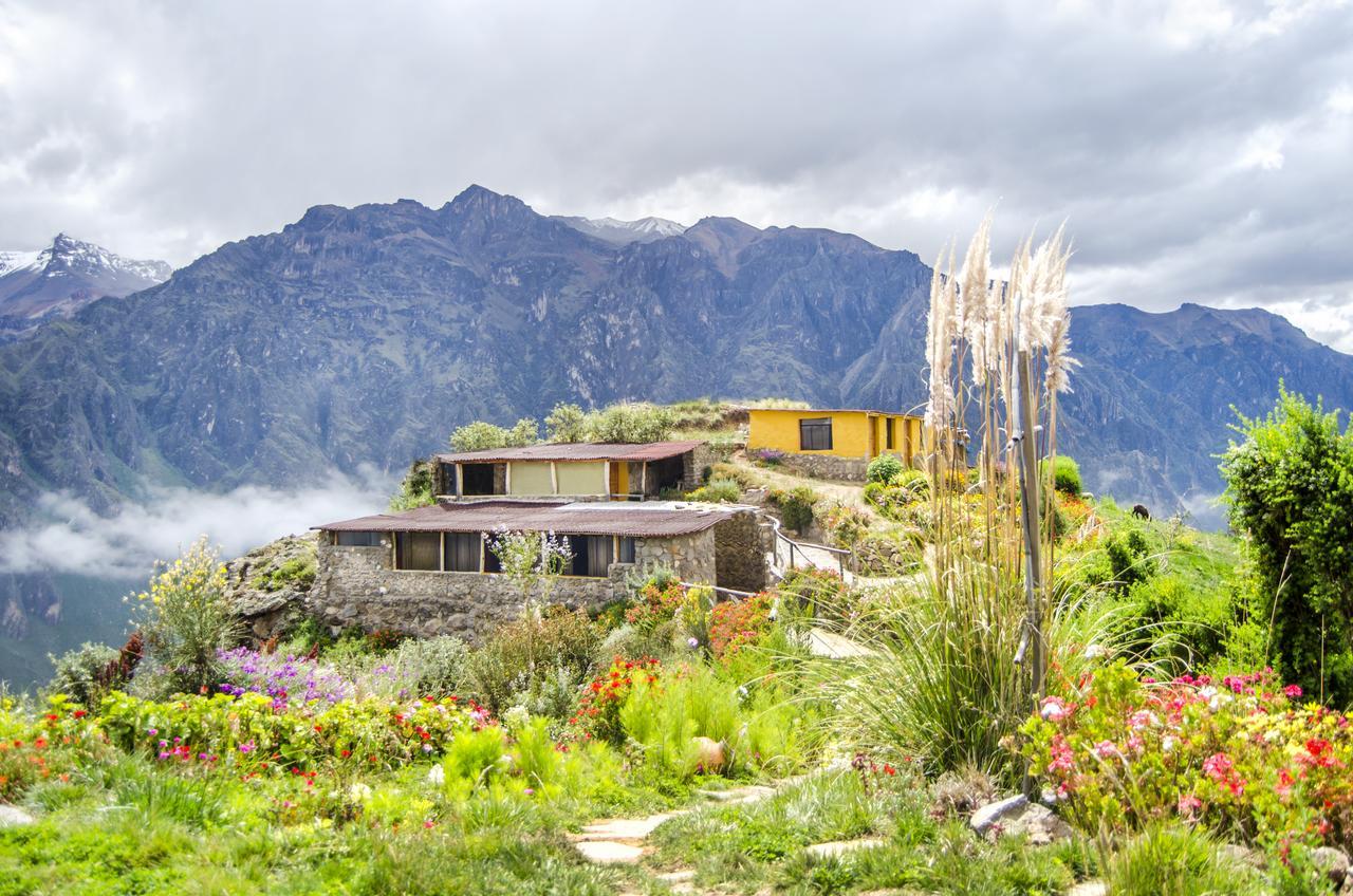 La Granja Del Colca Villa Cabanaconde Luaran gambar